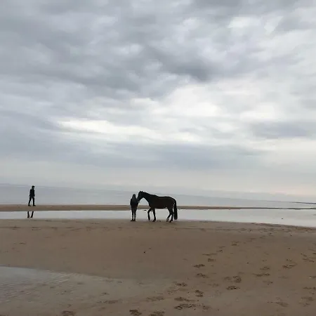 Vecaki Hébergement de vacances
